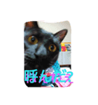 ンプ（個別スタンプ：6）
