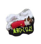 コーギー金太郎スタンプ その2（個別スタンプ：27）