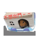 5151  Guinea pigs（個別スタンプ：1）