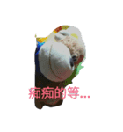 The monkey doll.（個別スタンプ：3）