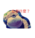 The monkey doll.（個別スタンプ：6）