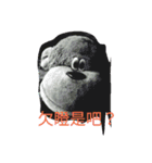 The monkey doll.（個別スタンプ：8）
