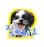 ごまさん①（個別スタンプ：3）