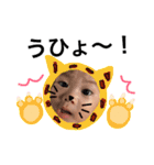 やっぴーダジャレ編（個別スタンプ：5）