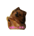 ここっぴぃ（個別スタンプ：3）