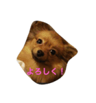 ここっぴぃ（個別スタンプ：9）