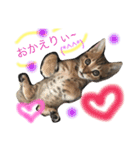 にゃんスタ♪♪（個別スタンプ：9）