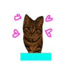 大好きマーク（個別スタンプ：5）