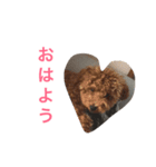 spikechappytyimon（個別スタンプ：8）