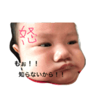 晴ちゃんといっしょ（個別スタンプ：14）