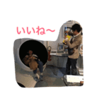 OKAMOTO stamp（個別スタンプ：5）