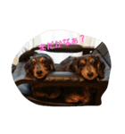 choco,s family（個別スタンプ：4）