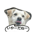 ココリン2（個別スタンプ：8）