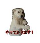 ココリン2（個別スタンプ：18）