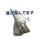 ココリン2（個別スタンプ：23）