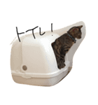 ねこ(みゃおとつむぎ)の日常（個別スタンプ：7）