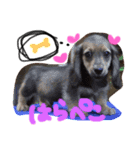 dog s. 2（個別スタンプ：5）