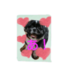 犬のまあくん（個別スタンプ：4）