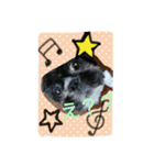 犬のまあくん（個別スタンプ：5）