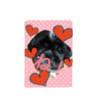 犬のまあくん（個別スタンプ：10）