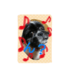 犬のまあくん（個別スタンプ：11）