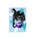 犬のまあくん（個別スタンプ：14）