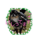 てとと仲間たち（個別スタンプ：1）