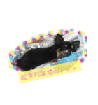 てとと仲間たち（個別スタンプ：4）