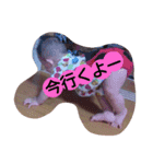 NIKOchanSticker（個別スタンプ：18）