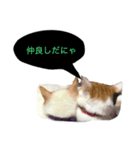 猫ちゃんのスタンプ☆（個別スタンプ：4）