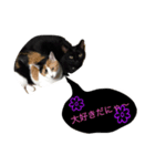 猫ちゃんのスタンプ☆（個別スタンプ：7）