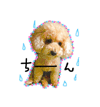 愛犬ハルリノの親バカスタンプ（個別スタンプ：21）