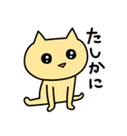 あははにゃんこ2・日常で使えるぞ編（個別スタンプ：18）
