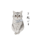 cota.boy（個別スタンプ：3）
