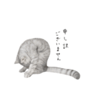 cota.boy（個別スタンプ：4）