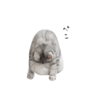 cota.boy（個別スタンプ：5）