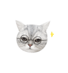 cota.boy（個別スタンプ：20）