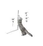 cota.boy（個別スタンプ：26）