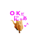 マルゴと仲間たち1（個別スタンプ：1）