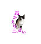 マルゴと仲間たち1（個別スタンプ：3）