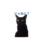 マルゴと仲間たち1（個別スタンプ：4）