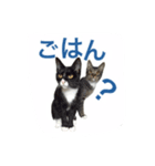 マルゴと仲間たち1（個別スタンプ：6）