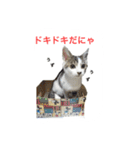 マルゴと仲間たち1（個別スタンプ：8）