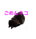 マルゴと仲間たち1（個別スタンプ：9）