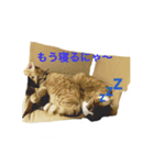 マルゴと仲間たち1（個別スタンプ：12）
