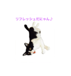 マルゴと仲間たち1（個別スタンプ：14）
