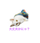 マルゴと仲間たち1（個別スタンプ：15）