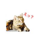 マルゴと仲間たち1（個別スタンプ：16）