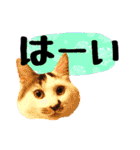 こねこのぐり3 丁寧なデカ文字（個別スタンプ：18）