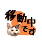 こねこのぐり3 丁寧なデカ文字（個別スタンプ：39）